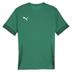 Puma team GOAL Short Sleeve Match Shirt