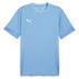 Puma team GOAL Short Sleeve Match Shirt