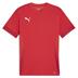Puma team GOAL Short Sleeve Match Shirt