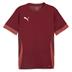 Puma team GOAL Short Sleeve Match Shirt