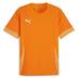 Puma team GOAL Short Sleeve Match Shirt