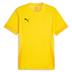 Puma team GOAL Short Sleeve Match Shirt