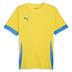 Puma team GOAL Short Sleeve Match Shirt