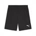 Puma team GOAL Shorts