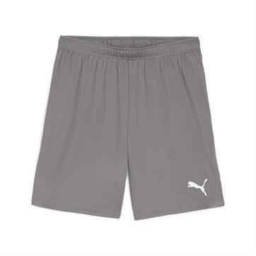 Puma team GOAL Shorts - Cast Iron
