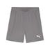 Puma team GOAL Shorts