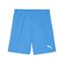 Puma team GOAL Shorts