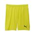 Puma team GOAL Shorts