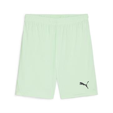 Puma team GOAL Shorts - Fresh Mint