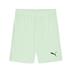 Puma team GOAL Shorts