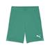 Puma team GOAL Shorts