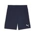 Puma team GOAL Shorts