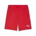 Puma team GOAL Shorts