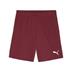 Puma team GOAL Shorts