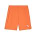 Puma team GOAL Shorts