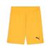 Puma team GOAL Shorts