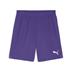 Puma team GOAL Shorts