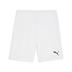 Puma team GOAL Shorts