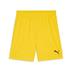 Puma team GOAL Shorts