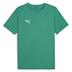 Puma teamRISE Short Sleeve Training Shirt