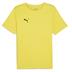 Puma teamRISE Short Sleeve Training Shirt