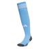 Adidas ADISOCK 25 Goalkeeper Sock