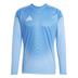 Adidas Tiro 25 Competition Long Sleeve Goalkeeper Shirt