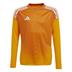 Adidas Tiro 25 Competition Long Sleeve Goalkeeper Shirt