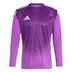 Adidas Tiro 25 Competition Long Sleeve Goalkeeper Shirt