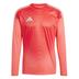 Adidas Tiro 25 Competition Long Sleeve Goalkeeper Shirt
