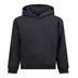 Plain Cotton AWDis Hoodie