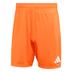 Adidas Entrada 26 Shorts