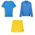 Puma Team GOAL Trio Training Player Pack