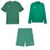 Puma Team GOAL Trio Training Player Pack