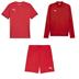 Puma Team GOAL Trio Training Player Pack
