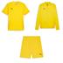 Puma Team GOAL Trio Training Player Pack