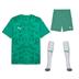 Puma Team Ultimate Short Sleeve Kit Set