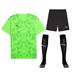 Puma Team Ultimate Short Sleeve Kit Set