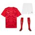 Puma Team Ultimate Short Sleeve Kit Set