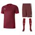 Puma Goal Full Kit Bundle of 12 (Short Sleeve)