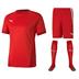 Puma Goal Short Sleeve Kit Set