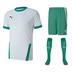 Puma Goal Short Sleeve Kit Set
