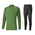 Puma TeamCUP Half Zip Tracksuit Set