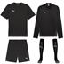 Puma teamGOAL Core Player Pack