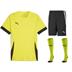 Puma team GOAL Full Kit Bundle of 10 (Short Sleeve)