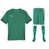 Puma team GOAL Full Kit Bundle of 10 (Short Sleeve)