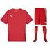 Puma team GOAL Full Kit Bundle of 10 (Short Sleeve)