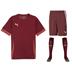 Puma team GOAL Full Kit Bundle of 10 (Short Sleeve)