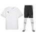 Puma team GOAL Full Kit Bundle of 10 (Short Sleeve)