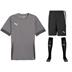 Puma team GOAL Full Kit Bundle of 12 (Short Sleeve)